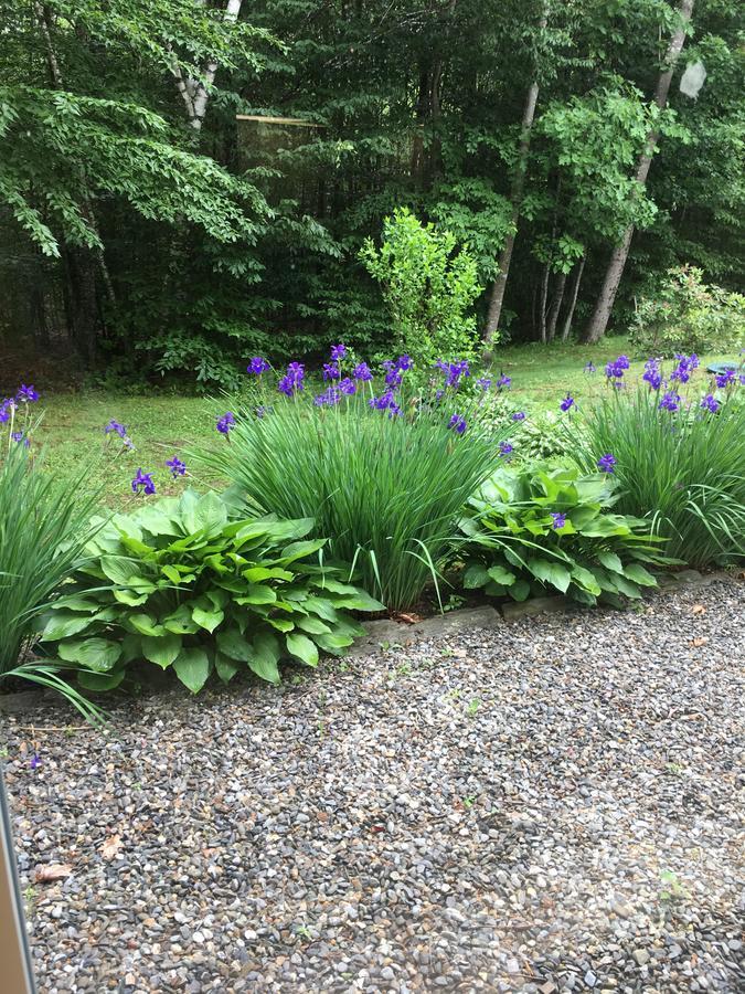 Blueberry Fields Bed&Breakfast Jefferson Exterior foto